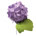 SIZZIX BIGZ DIE - HYDRANGEA/ ORTENSIA 664367